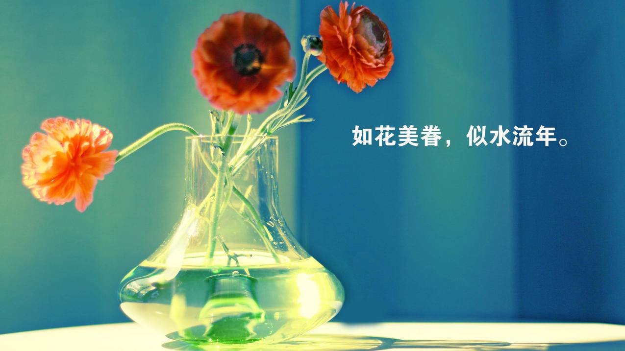 快手下单秒刷平台网站-快手零元代刷网站,晨宇自助下单平台