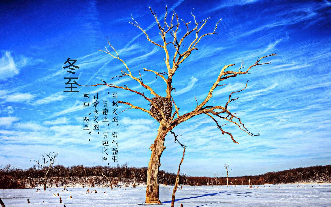 刷赞网址梓豪代刷网,