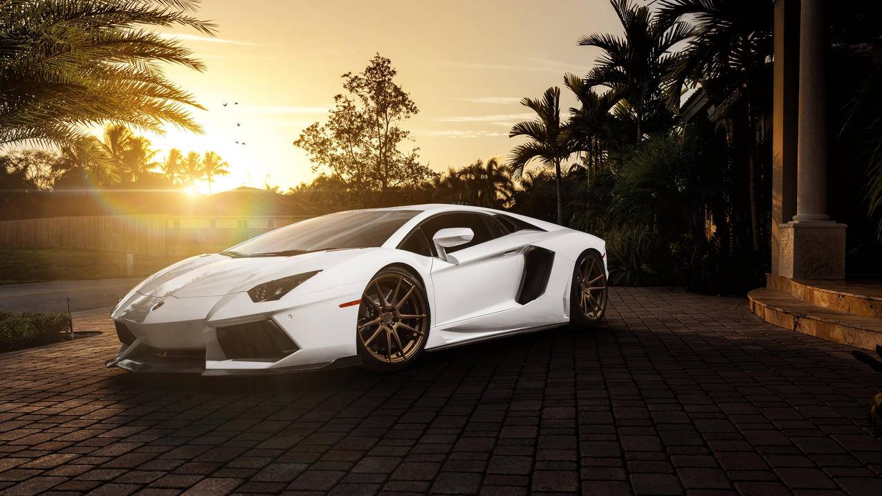 qq空间互赞qq空间怎么刷访客量-快手刷赞平台推广网站便宜,3元一万粉快手在线购买虎哥代刷,快手直播间刷人气网站