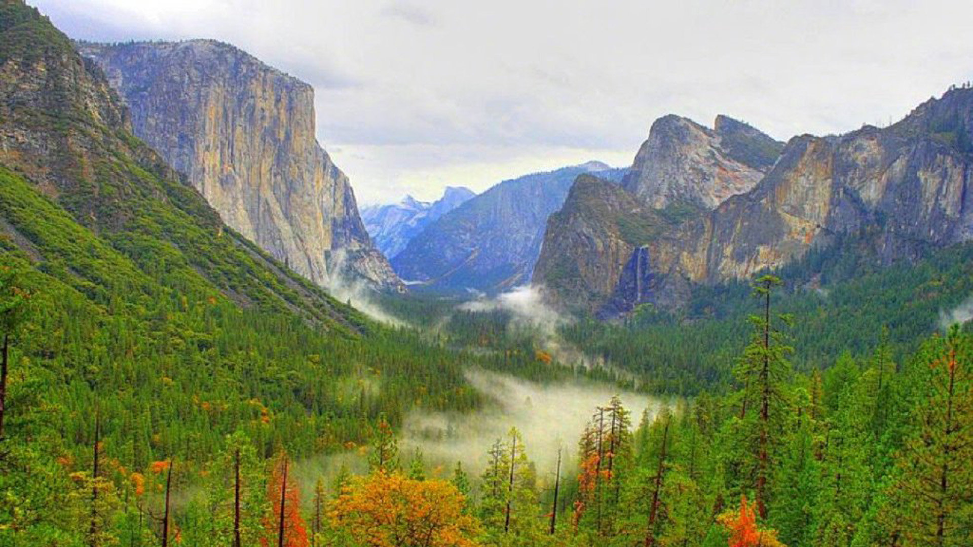 快手低价粉丝网站自助,快手刷关注软件大全
