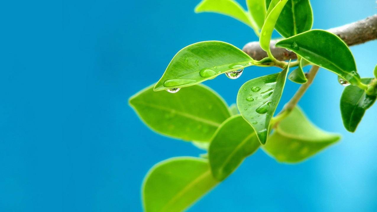 快手刷双击免费下单,qq空间刷赞全网便宜